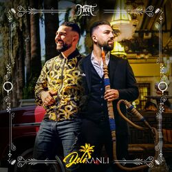 Cover of Delikanlı