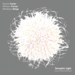 Cover of Seraphic Light