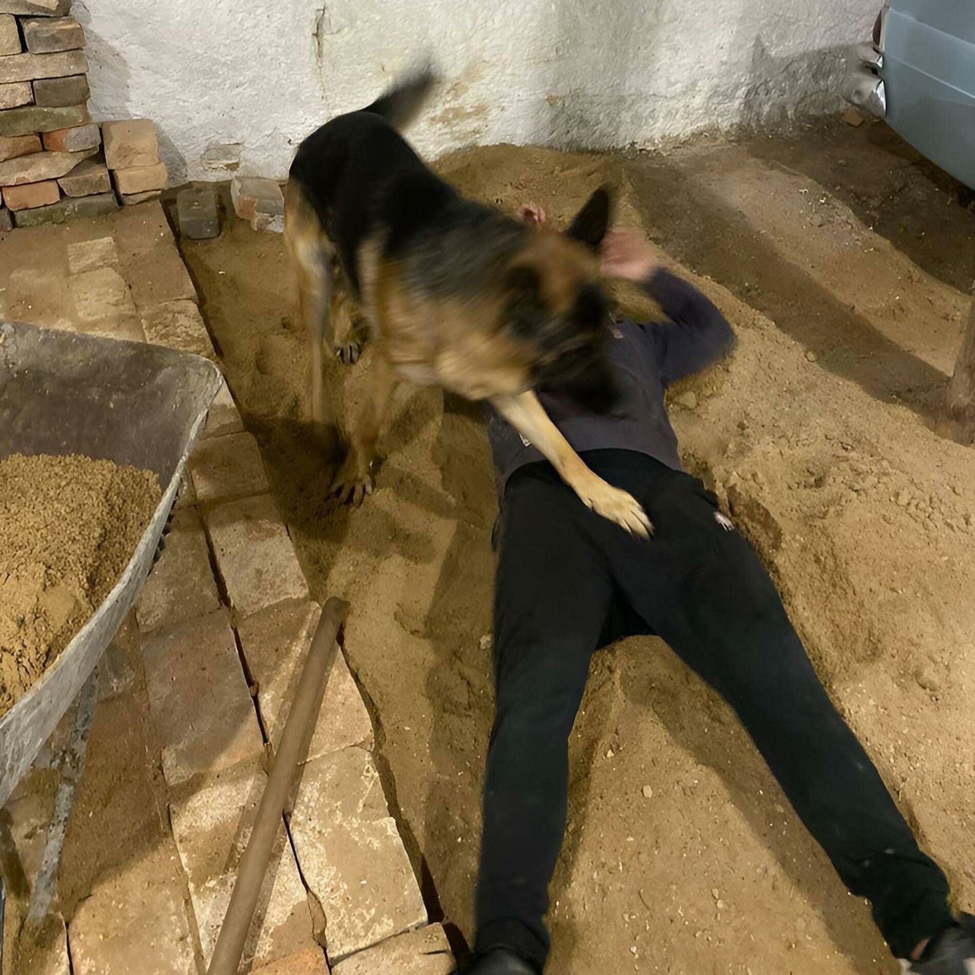 Album cover of LATINNO (feat. NEVI)