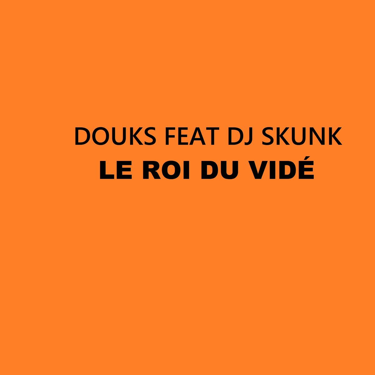 Album cover of Le roi du vidé
