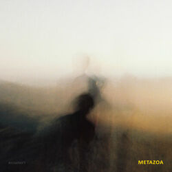 Cover of Metazoa