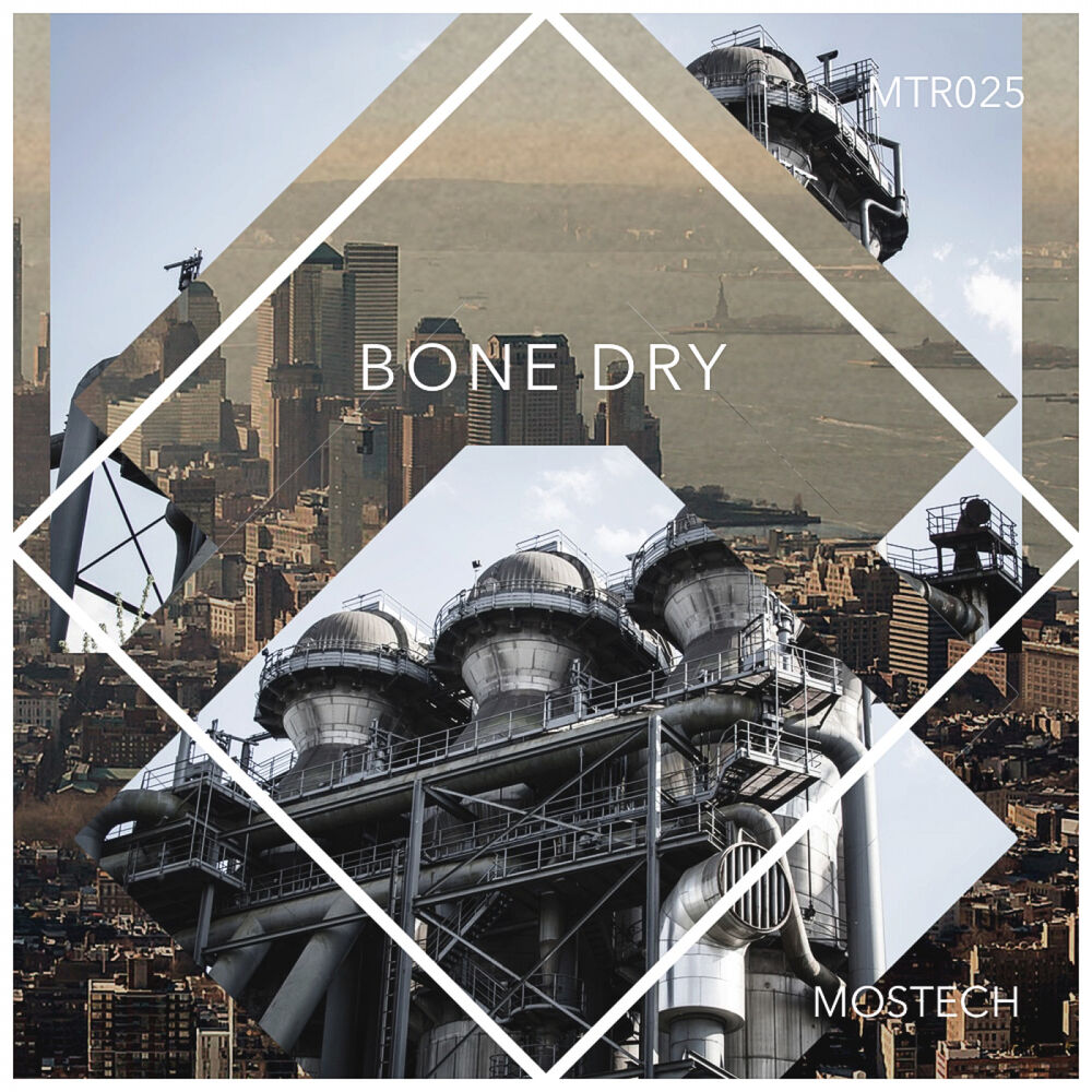 Picture of Bone Dry