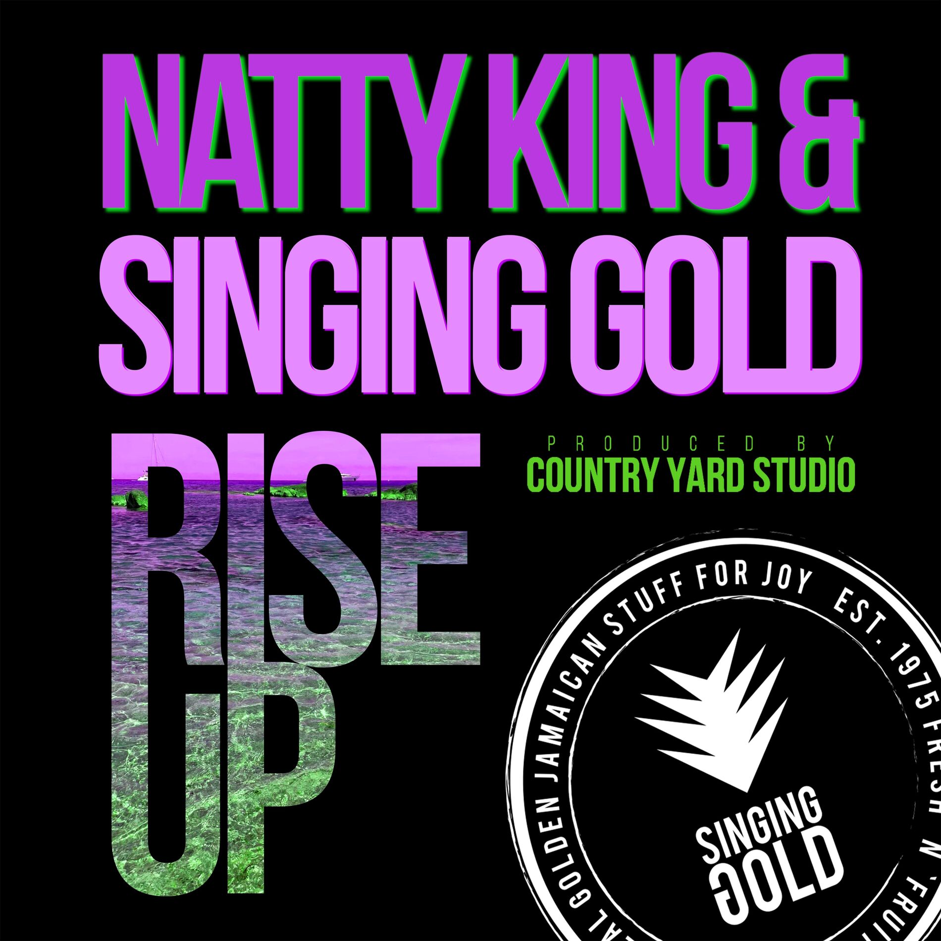 Album cover of Rise Up