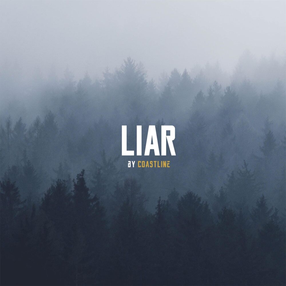 Picture of Liar