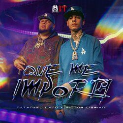 Cover of Que Me Importa