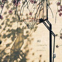 Cover of Terrain de Basket