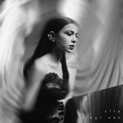 Cover of VINGT ANS
