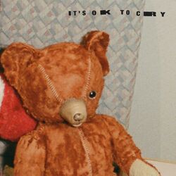 Cover of It's Ok to Cry