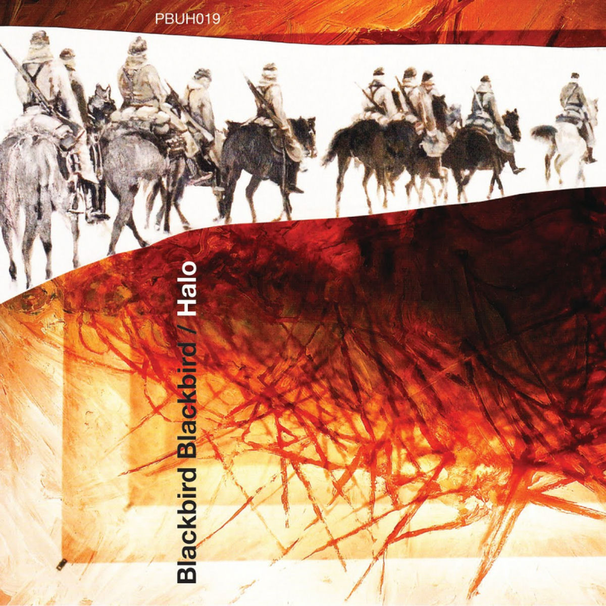 Album cover of Halo
