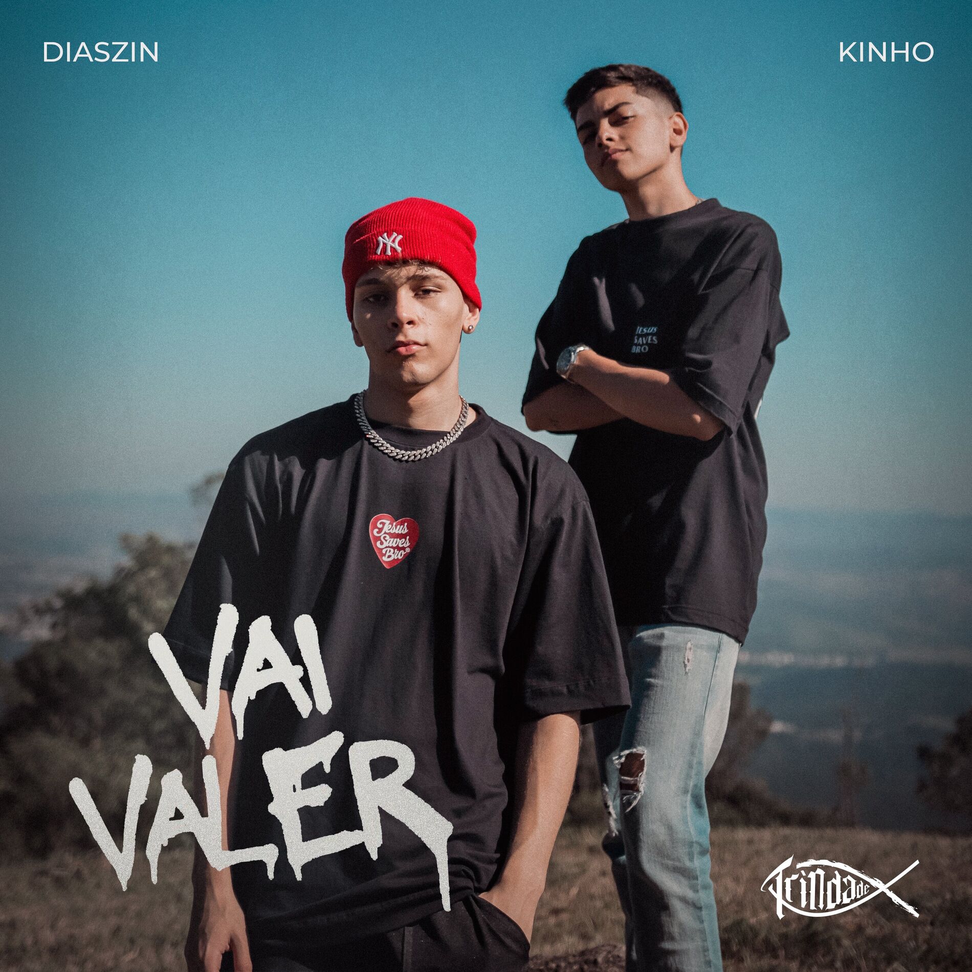 Album cover of Vai Valer