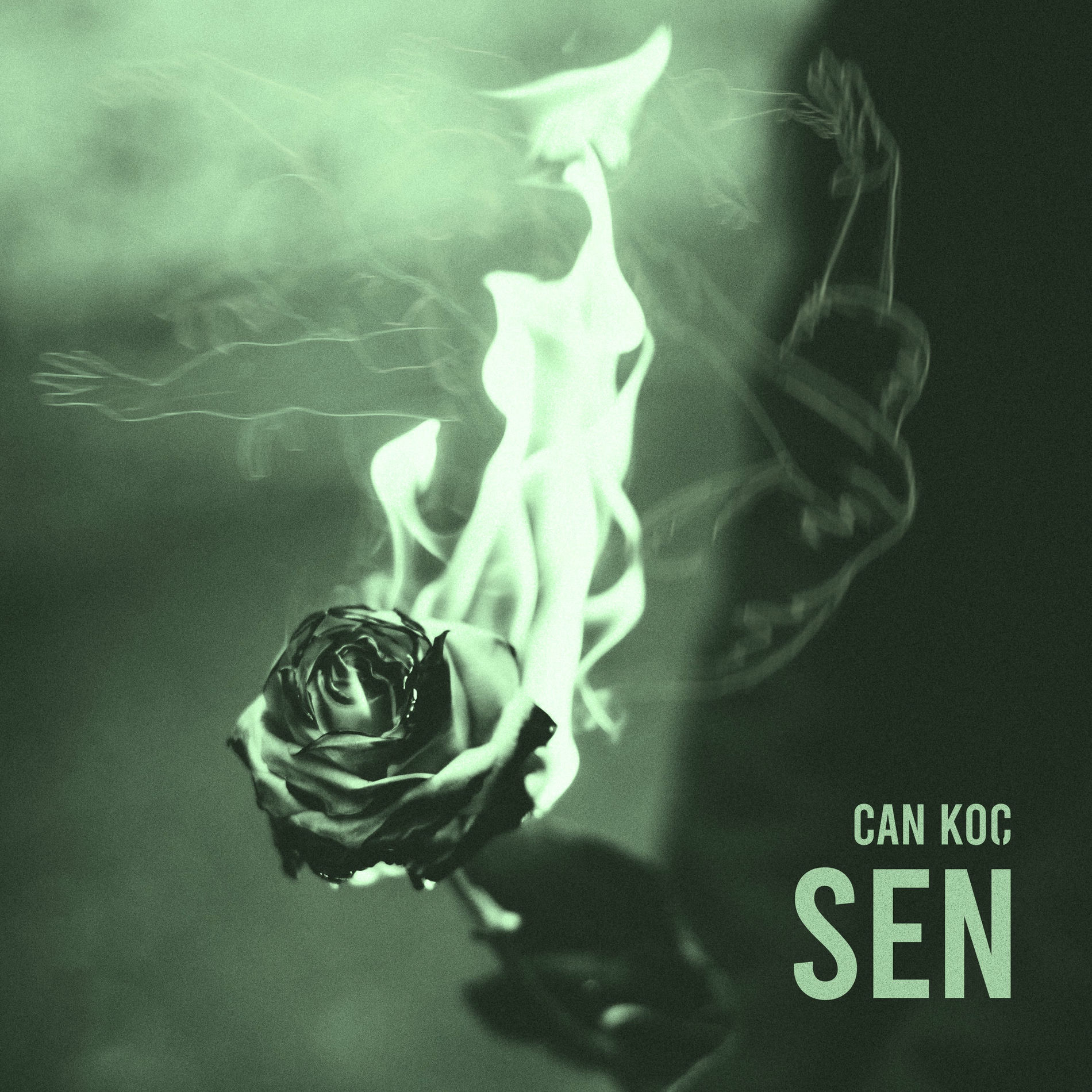 Album cover of Sen