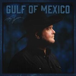 Cover of Gulf of Mexico