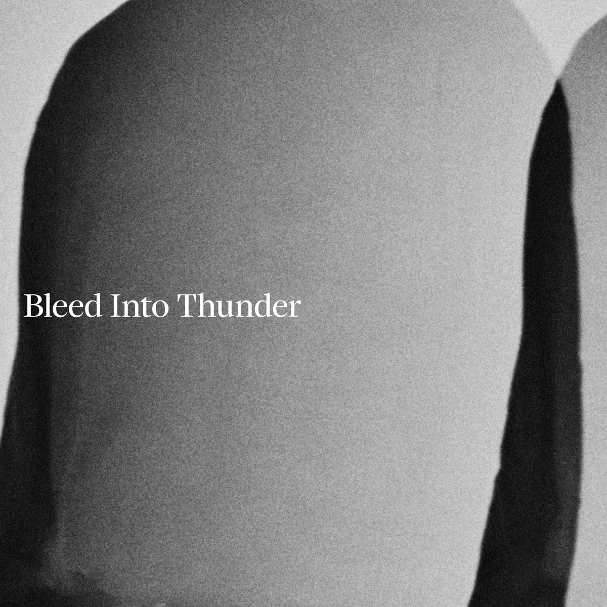 Album cover of Bleed Into Thunder