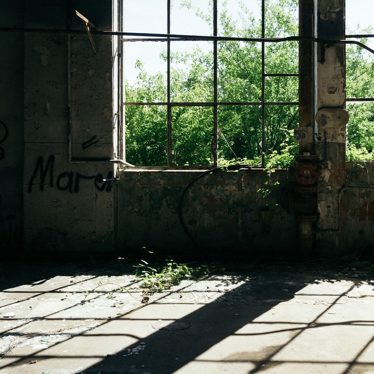 Album cover of Rêve