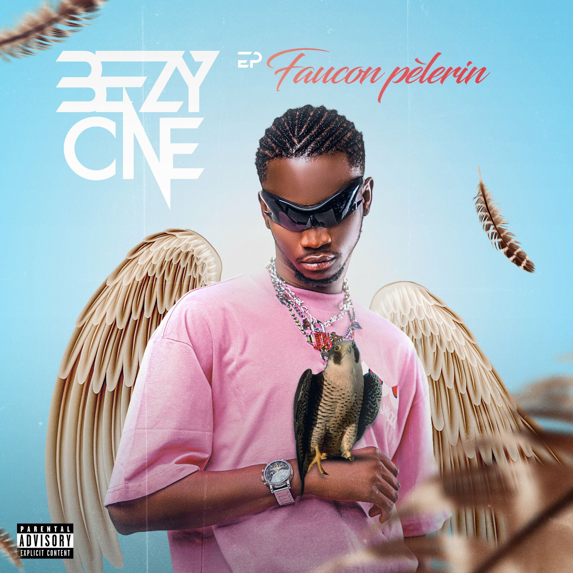 Album cover of Faucon Pèlerin