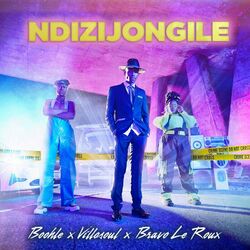 Cover of Ndizijongile