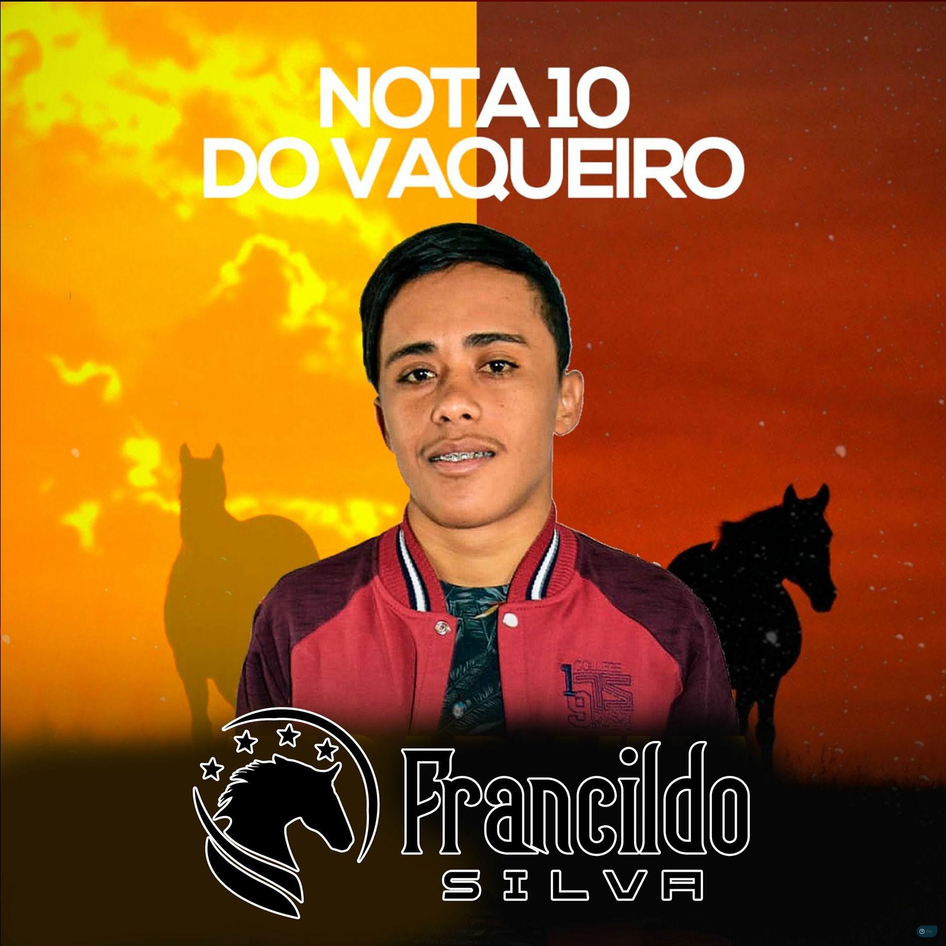 Album cover of Nota 10 do Vaqueiro