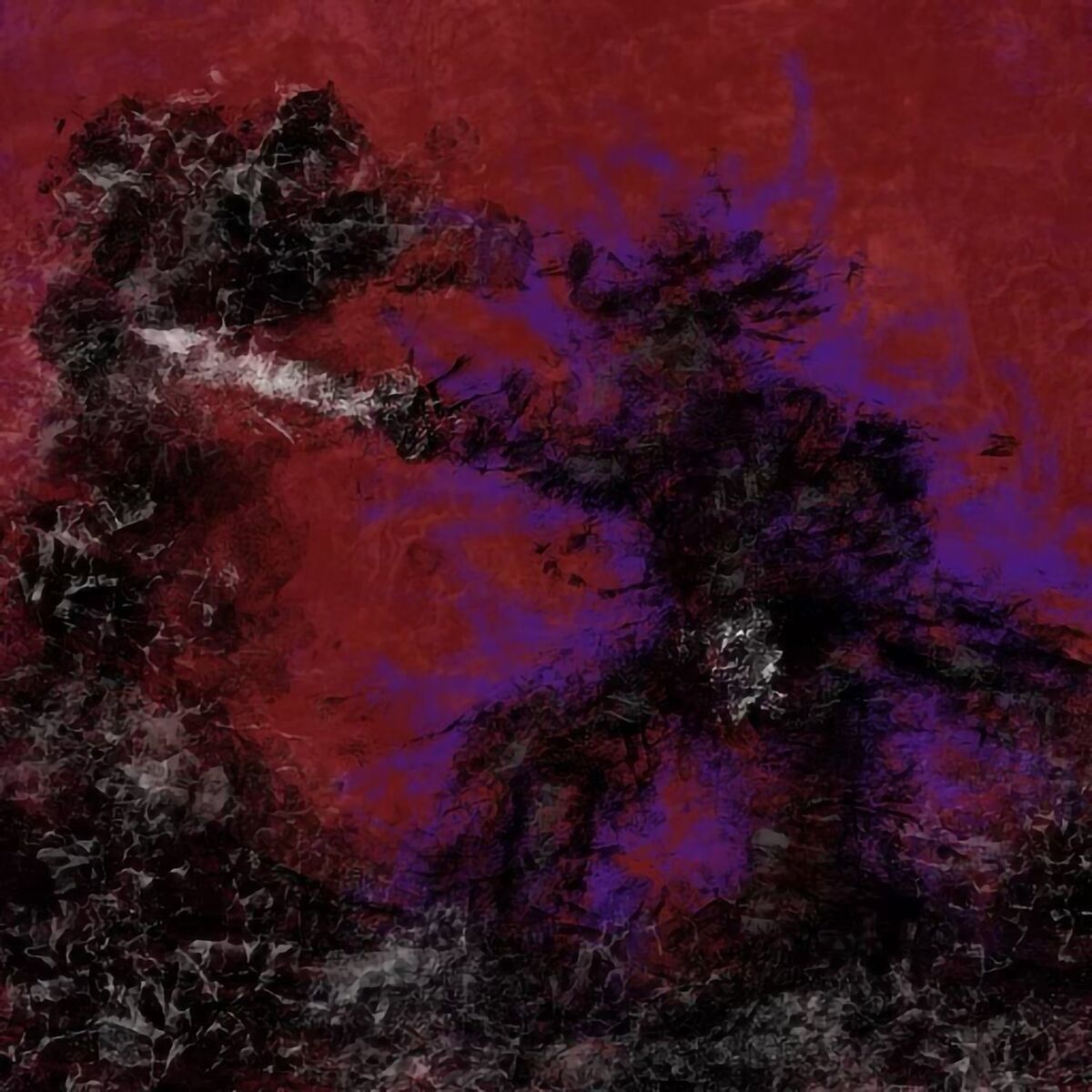 Album cover of Spirit Roaming