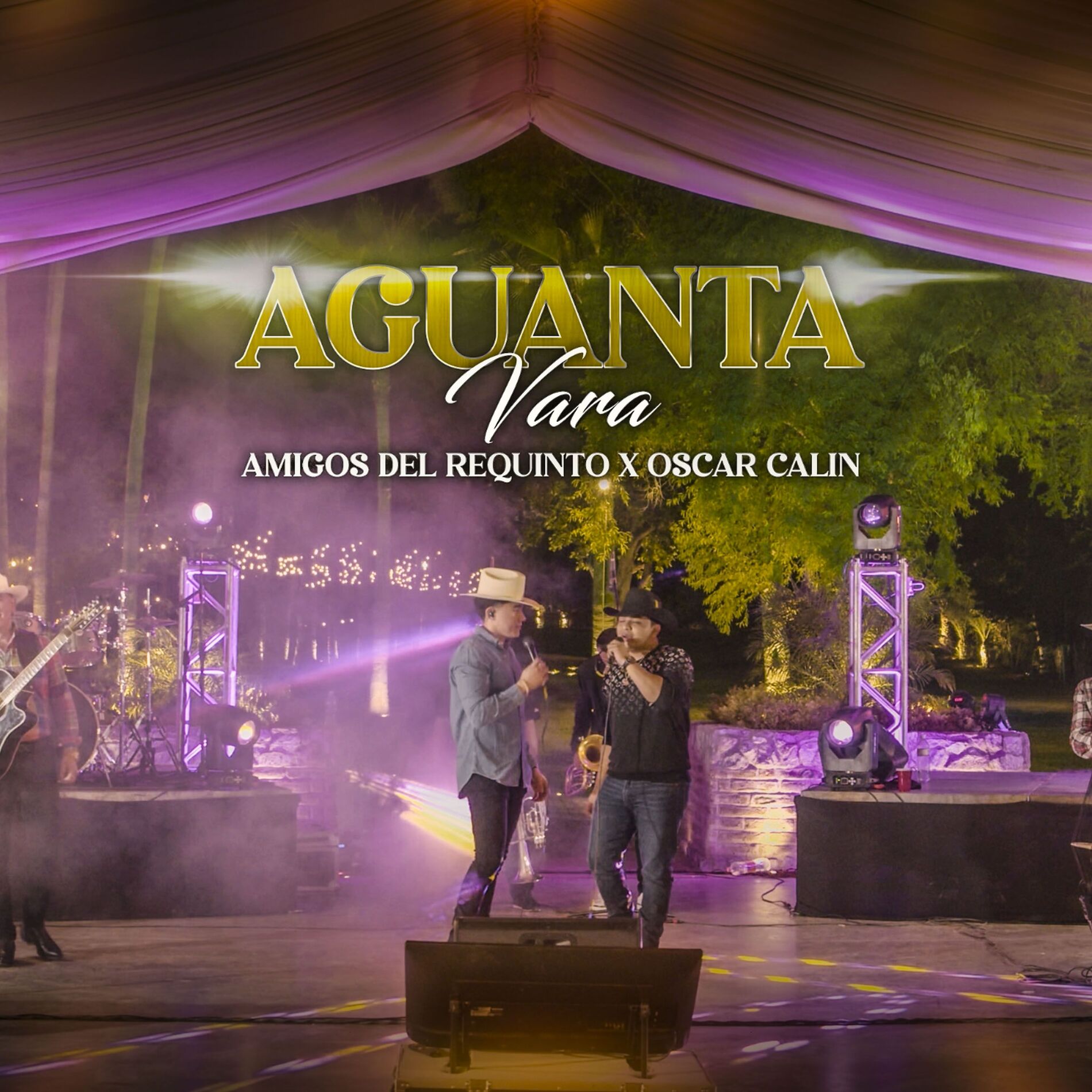 Album cover of Aguanta Vara