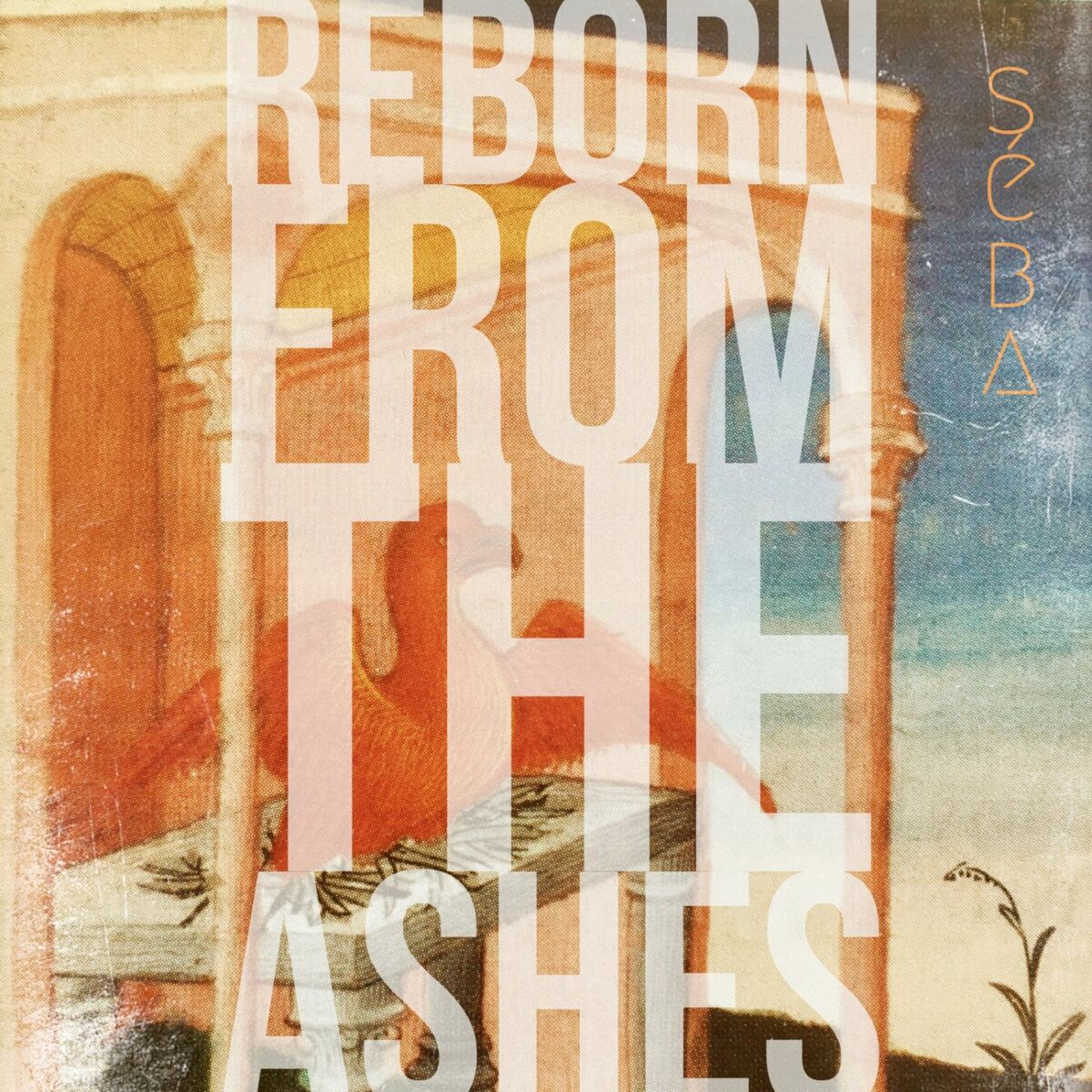 Album cover of Reborn From The Ashes