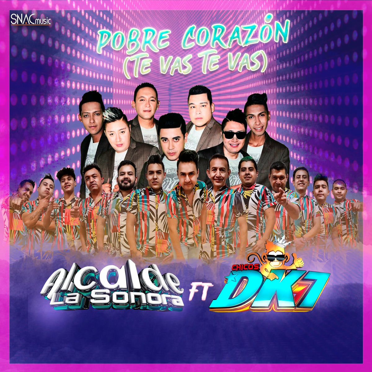 Album cover of Pobre Corazon (Te Vas Te Vas)