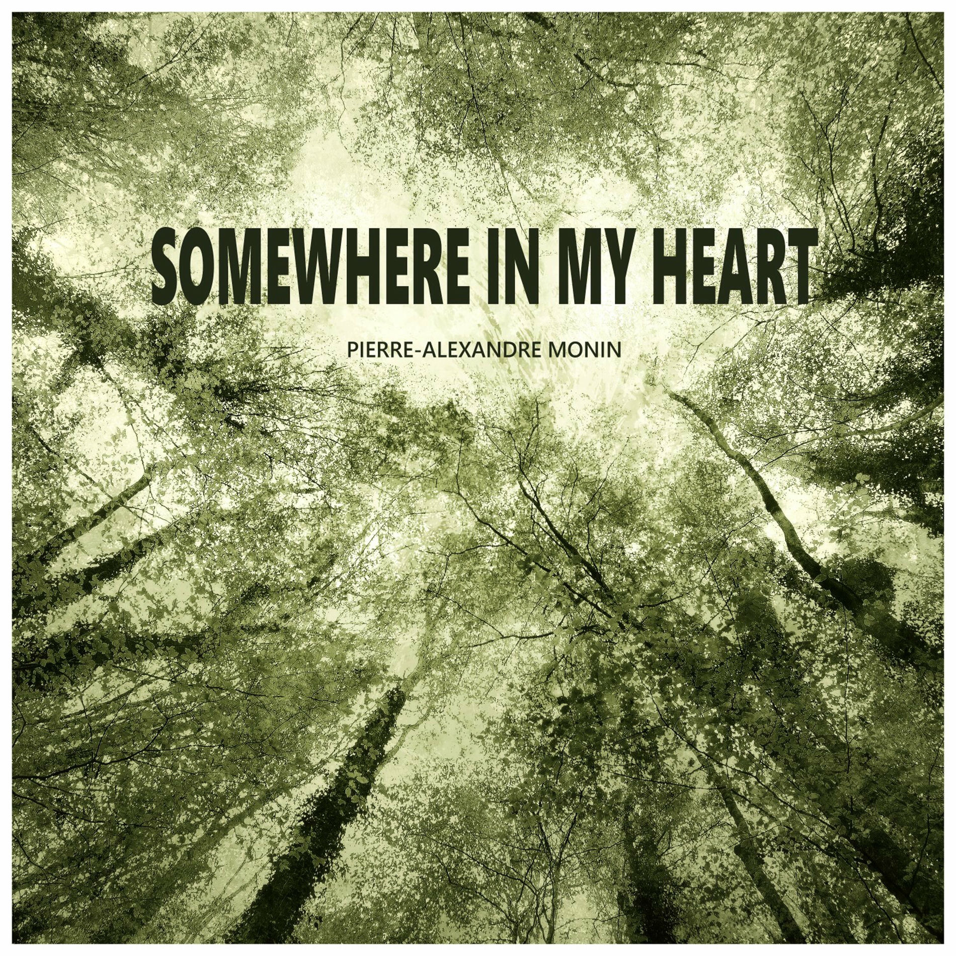 Album cover of Somewhere in My Heart