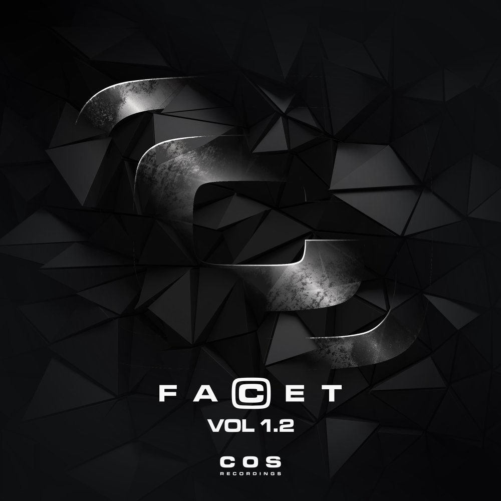 FaCet, Vol. 1.2 cover