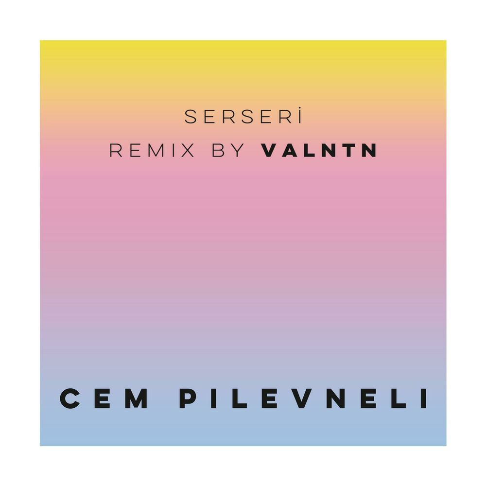 Picture of Serseri (VALNTN Remix)