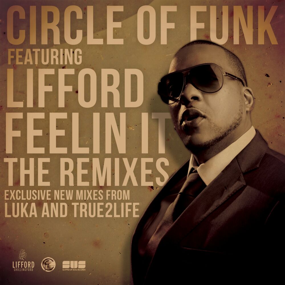 Picture of Feelin It (The Remixes)