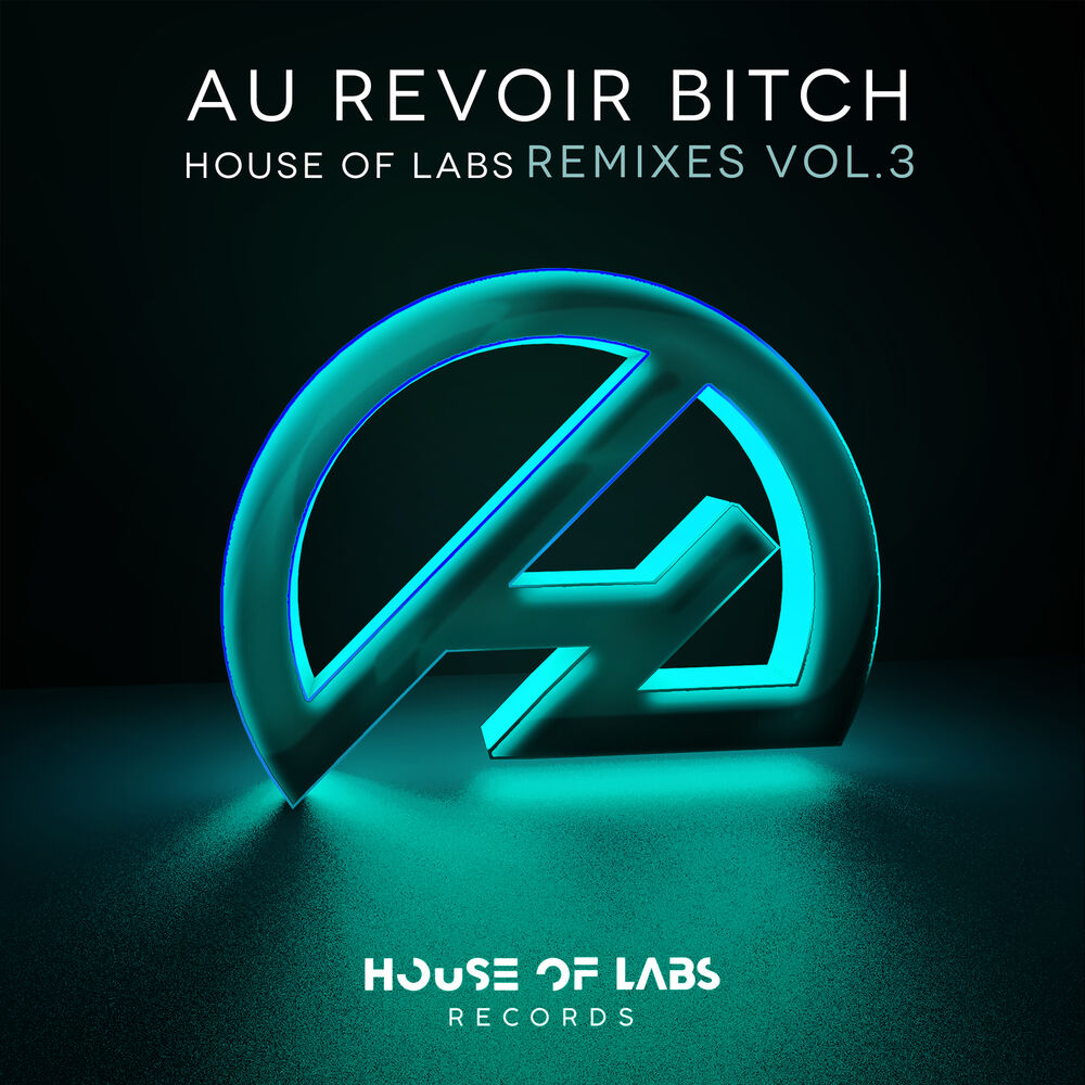 Picture of Au Revoir Bitch (Remixes Vol. 3)