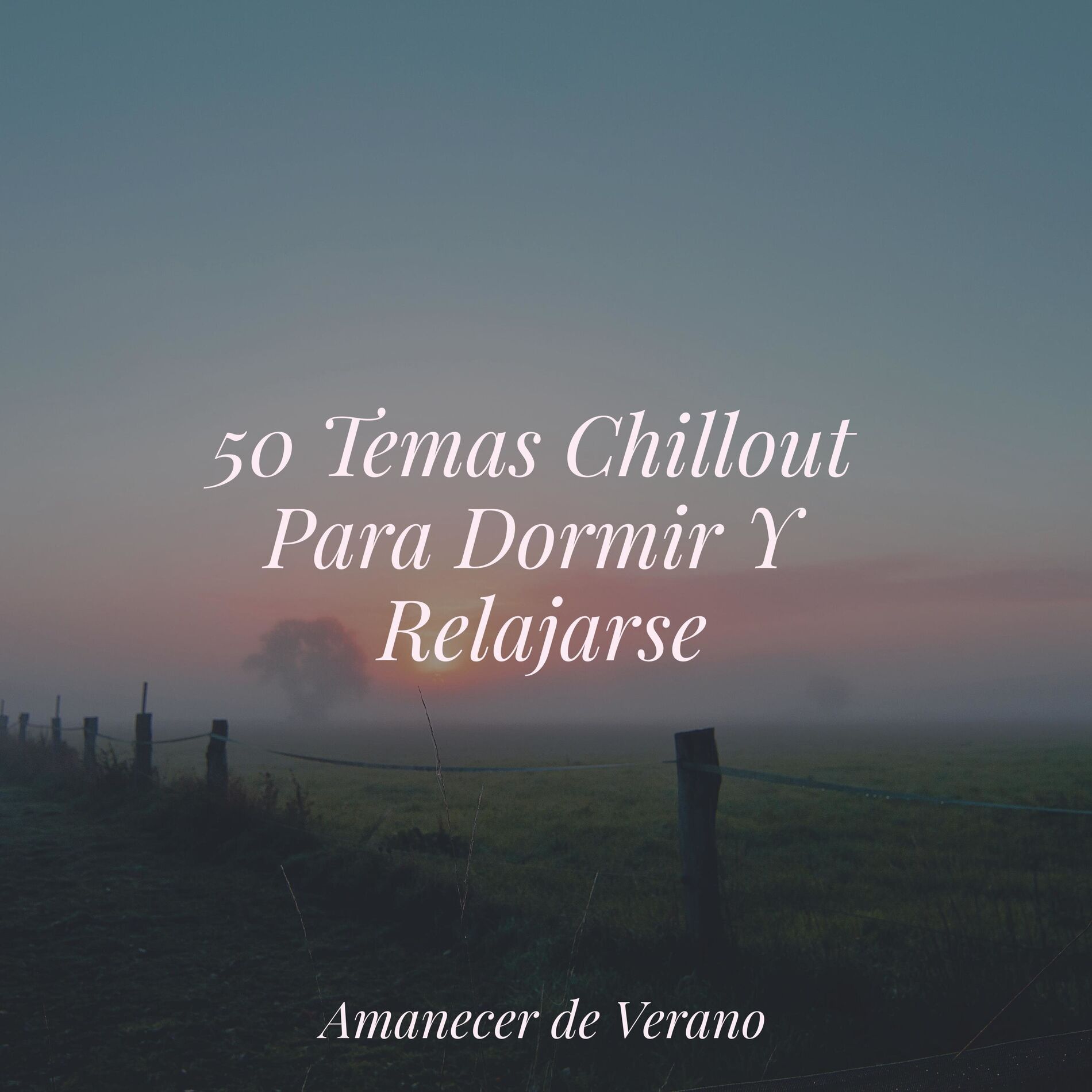 Album cover of 50 Temas Chillout Para Dormir Y Relajarse