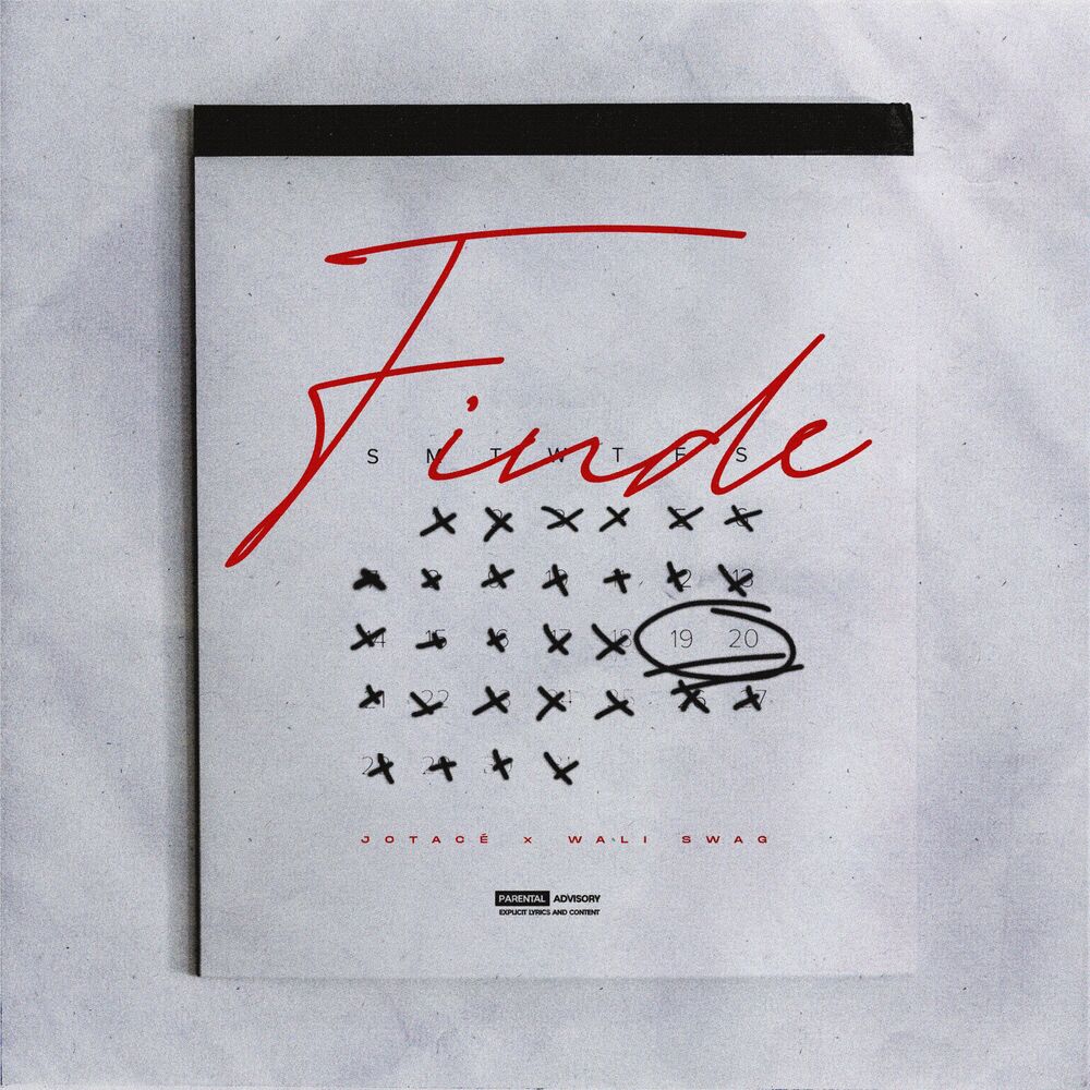 Picture of Finde