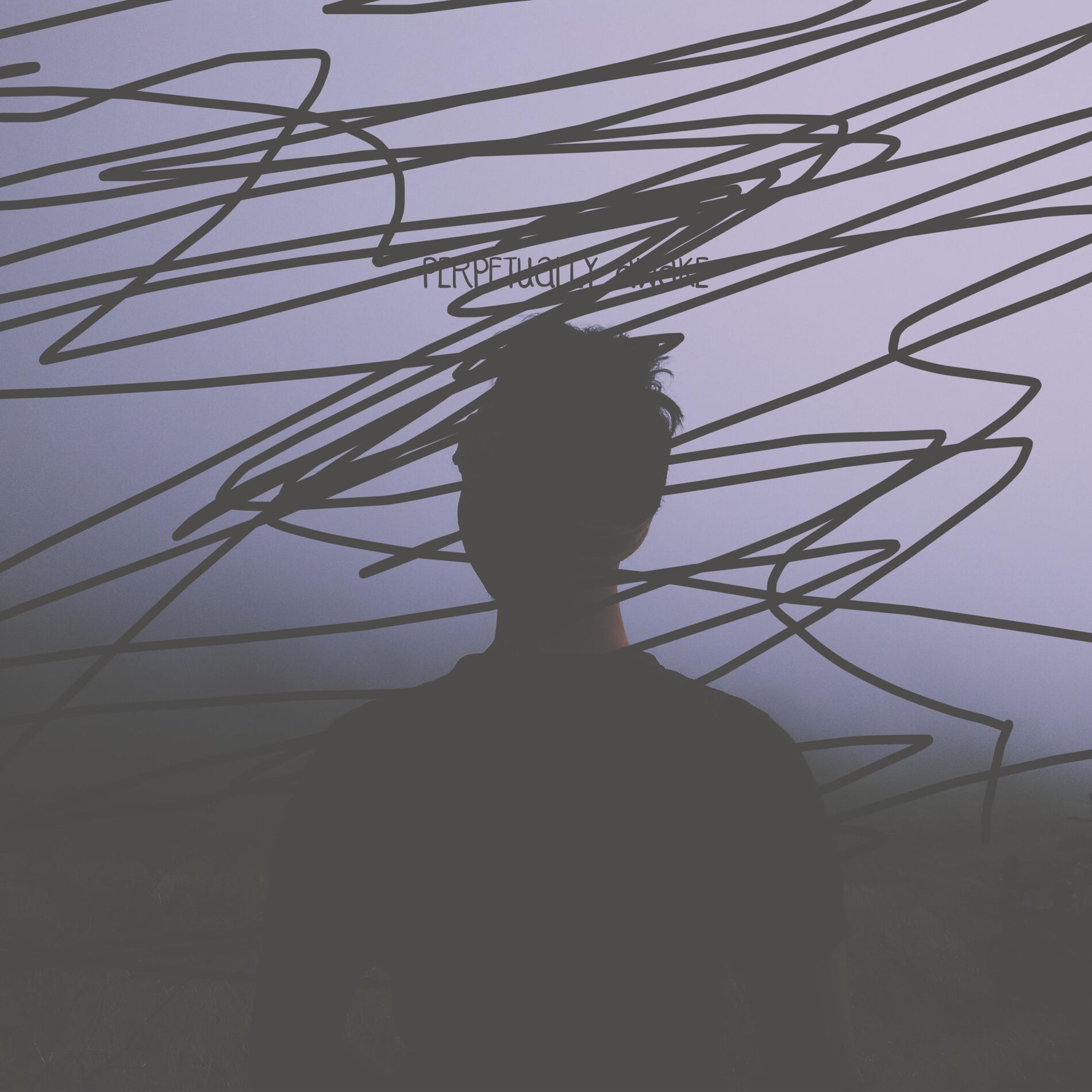 Album cover of Perpetually Awake