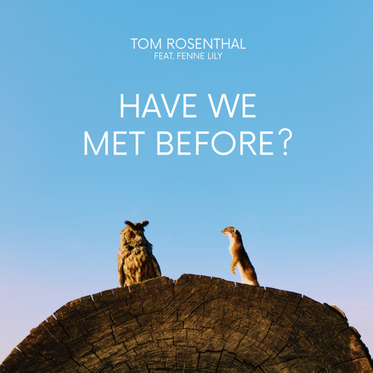 Album cover of Have We Met Before?