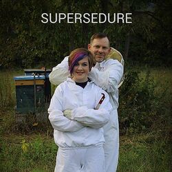 Cover of Supersedure