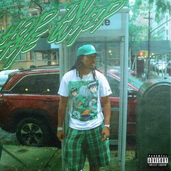 Cover of HOP IN THE WHIP