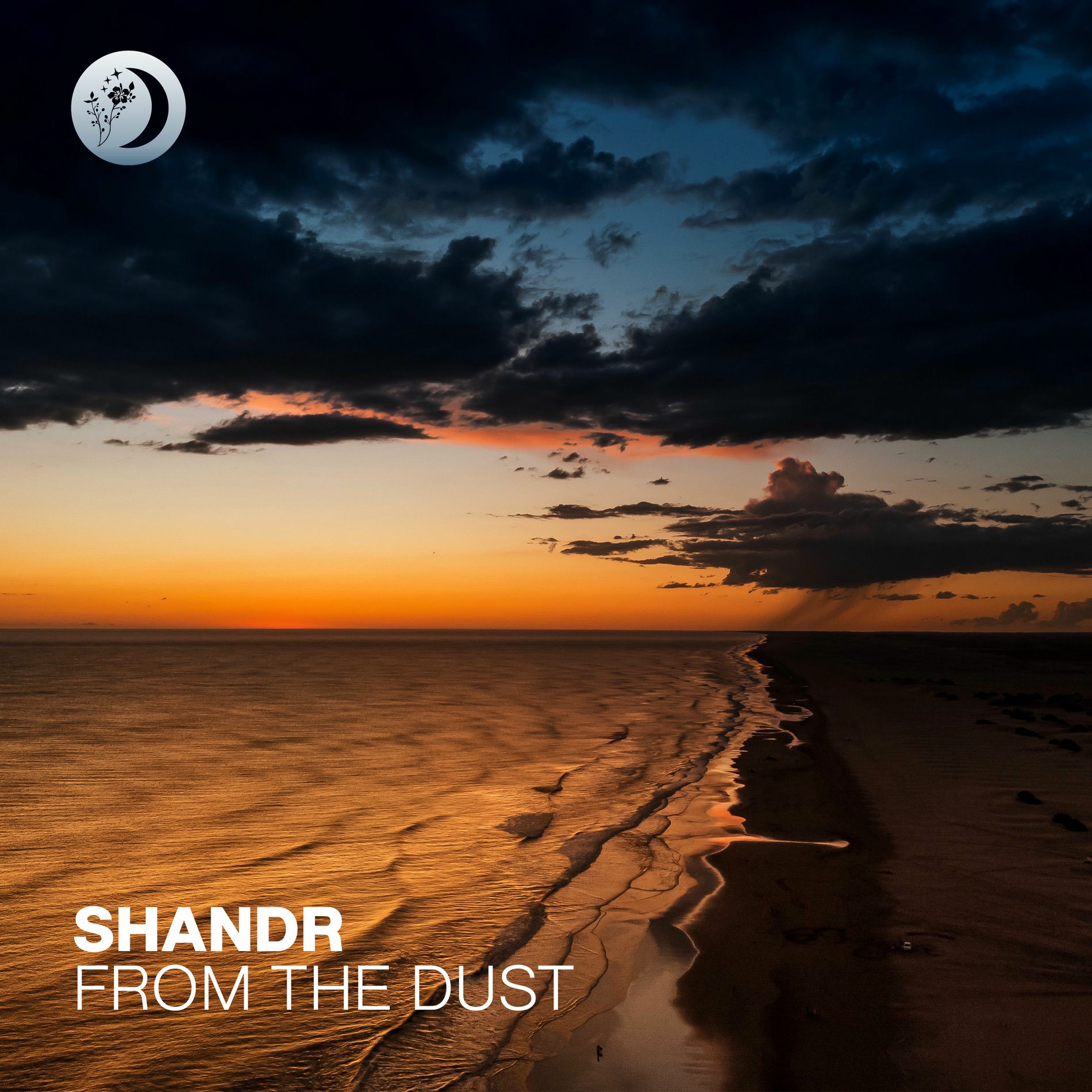 Album cover of From The Dust
