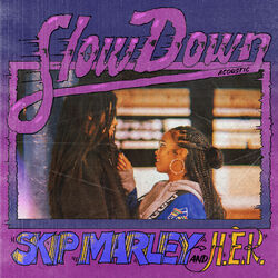 Cover of Slow Down (Acoustic)