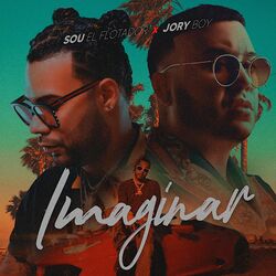 Cover of Imaginar