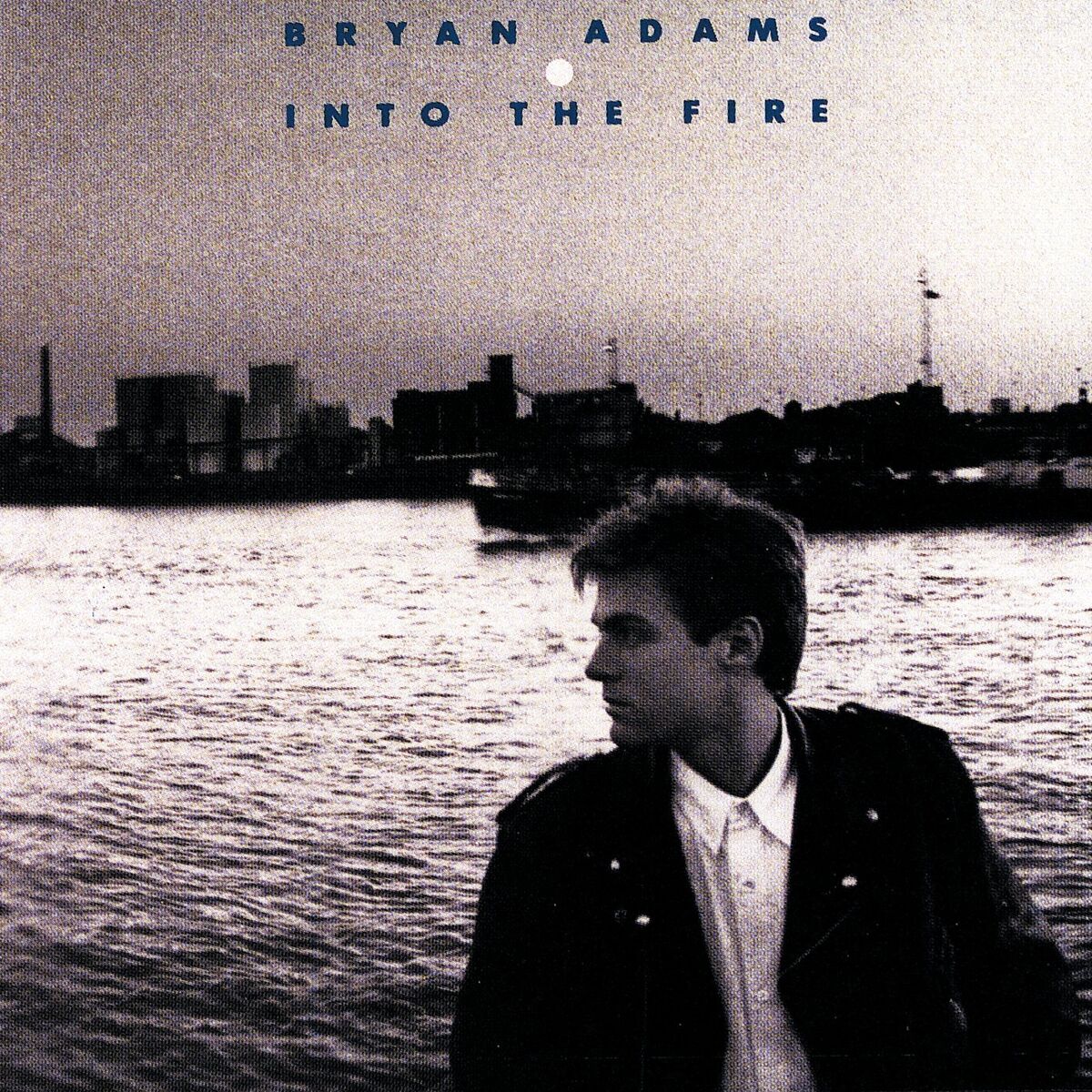 Album cover of Into The Fire