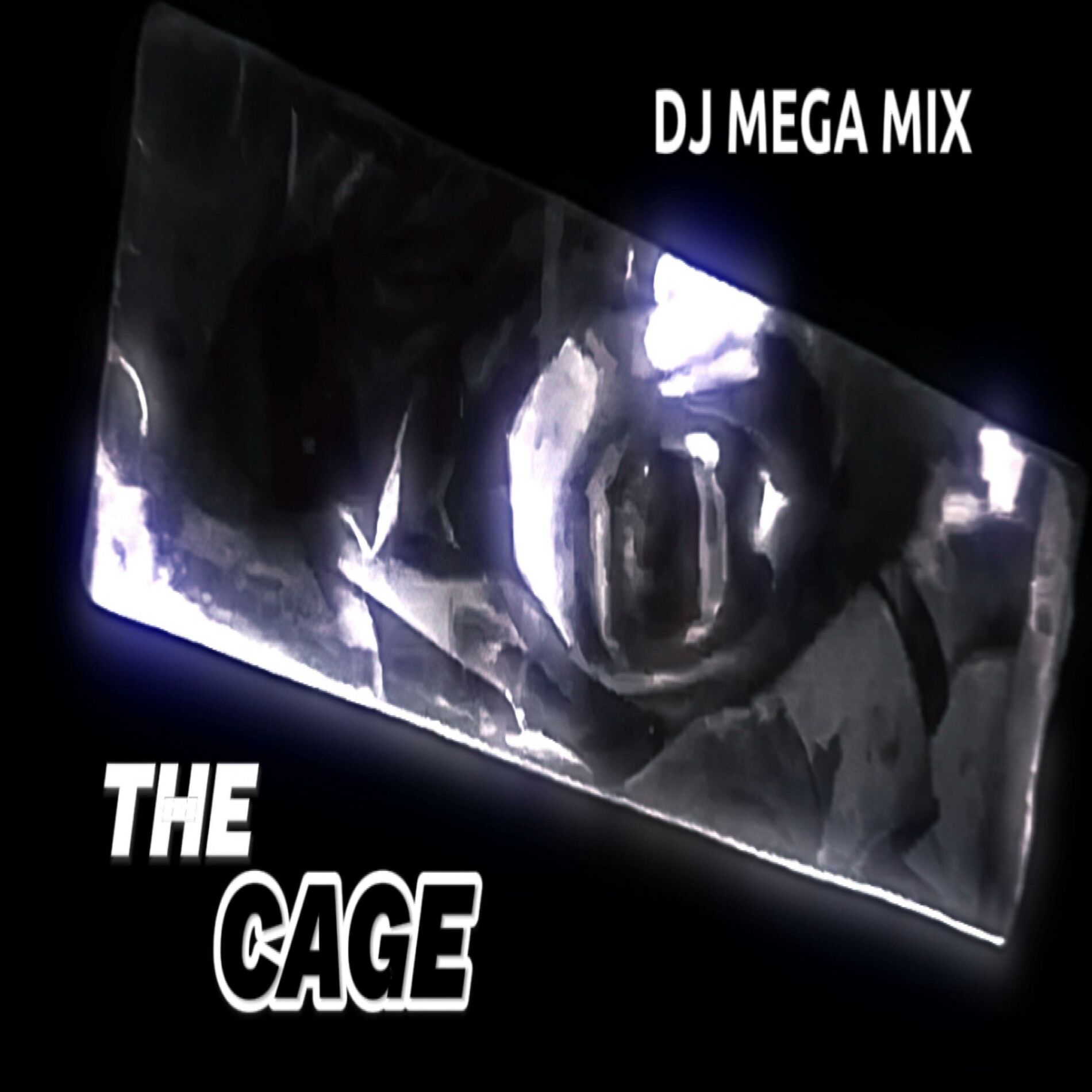 Album cover of The Cage