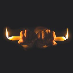 Cover of Burn It at Both Ends