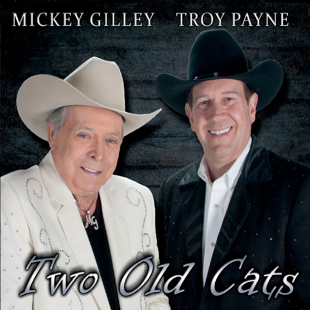 Picture of Two Old Cats