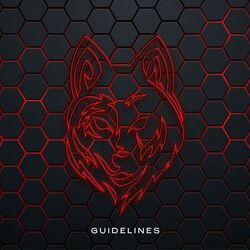 Guidelines