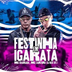 Cover of FESTINHA EM IGARATA