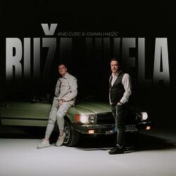 Cover of Ruza uvela