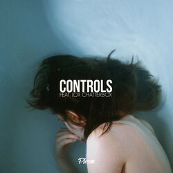 Cover of Controls