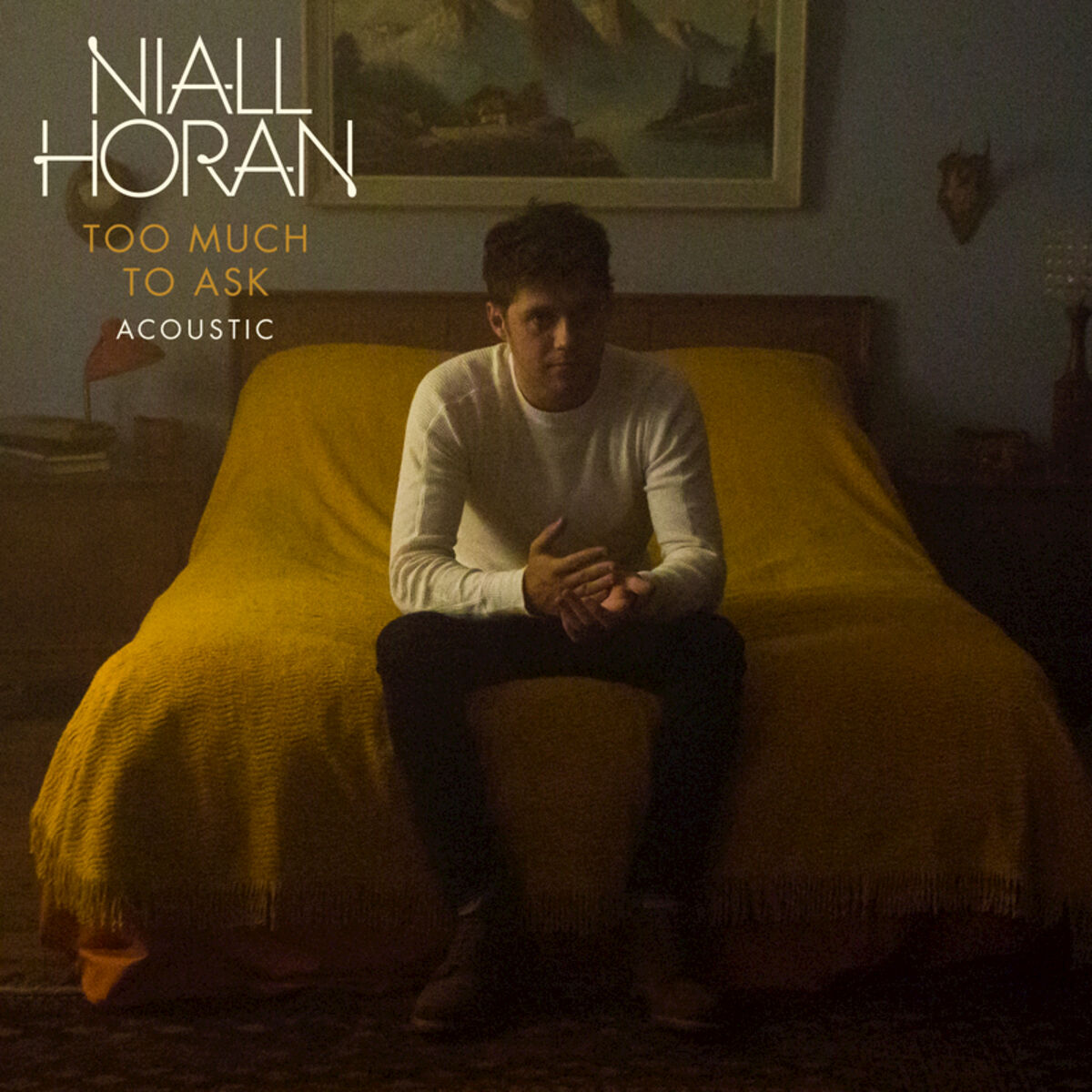 Album cover of Too Much To Ask