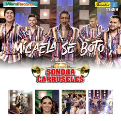 Cover of Micaela Se Botó!