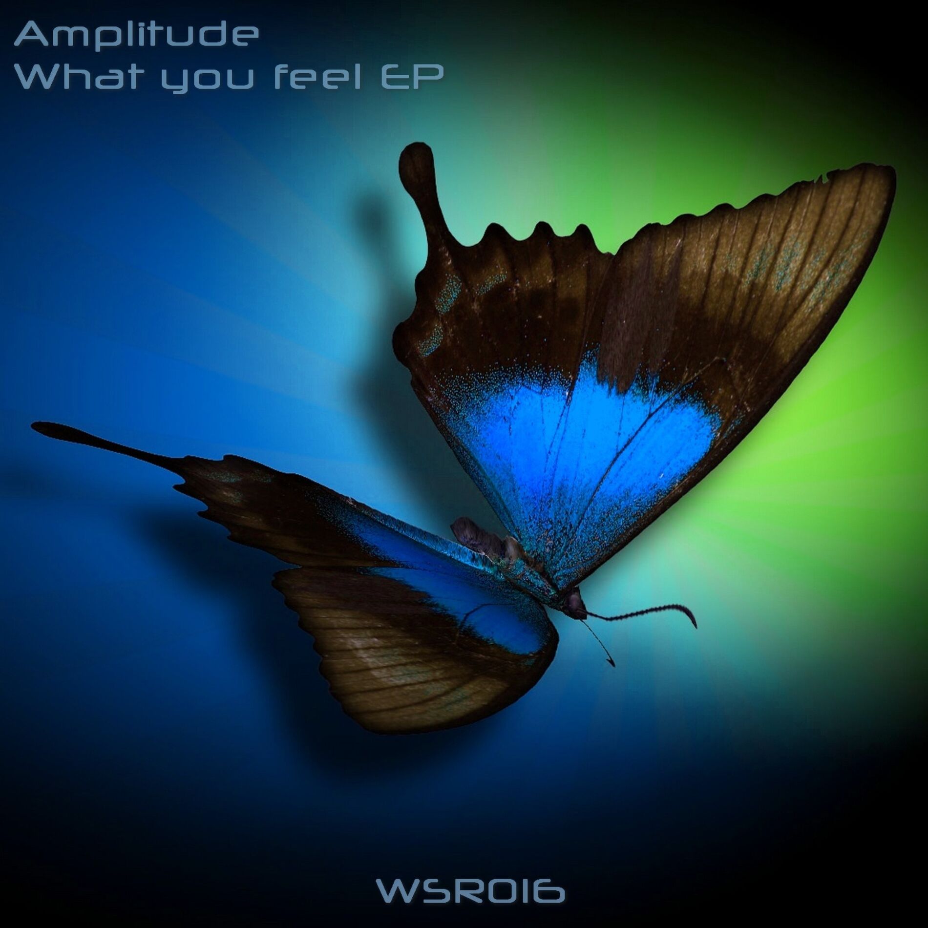 Album cover of What You Feel